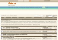 Pet forum for dogs cats and humans - Pets.ca