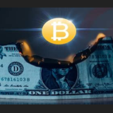 BitcoinBurningUSD
