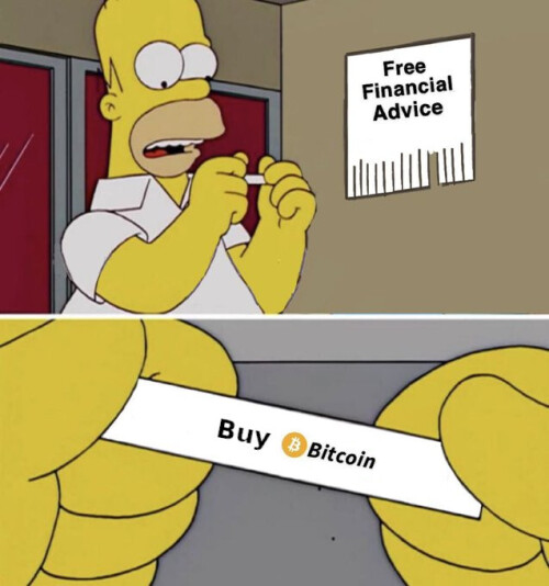 BitcoinFreeFinanicalAdvice simpsons