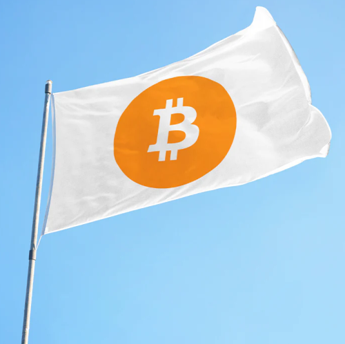 bitcoin FLAG white