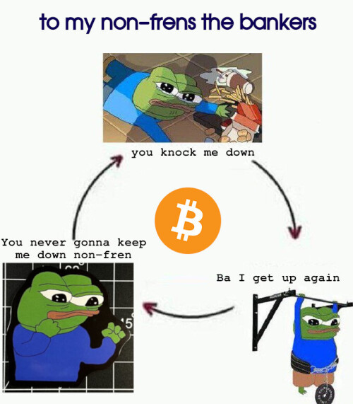 bitcoin To NONFRENBANKER