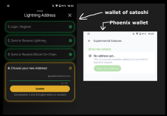 Bitcoin BIP353 Lightning Address