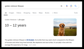 golden retriever lifespan