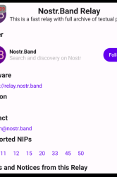 nostr-band-website-relay