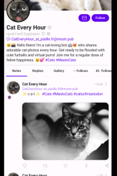 nostr-bot-profiles-cat