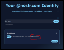 nostr website nip05 address