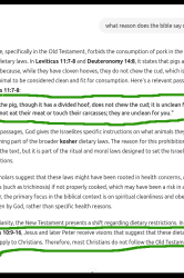 bible-eat-pork-yes-or-no