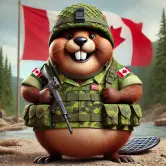 canadian-army-soldier.webp