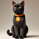 catoshi-the-cat-bitcoin-hodl.webp