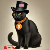 catoshi-the-black-cat-american.webp