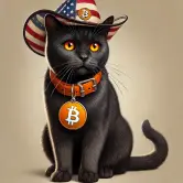 catoshi-black-cat-proud-american.webp