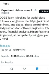 doge-hiring-usa