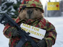 mar-for-president-lpoc-beaver.webp