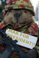 mar-for-president-lpoc-beaver