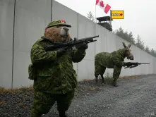 canada-usa-border-beaver-moose.webp