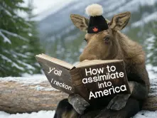 canadian-moose-assimilate-into-america.webp