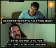 whole-bitcoin-two-chicks-at-the-same-time.webp